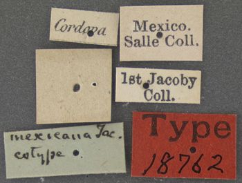 Media type: image; Entomology 18762   Aspect: labels